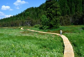 Balade surprise sur le Grandvaux