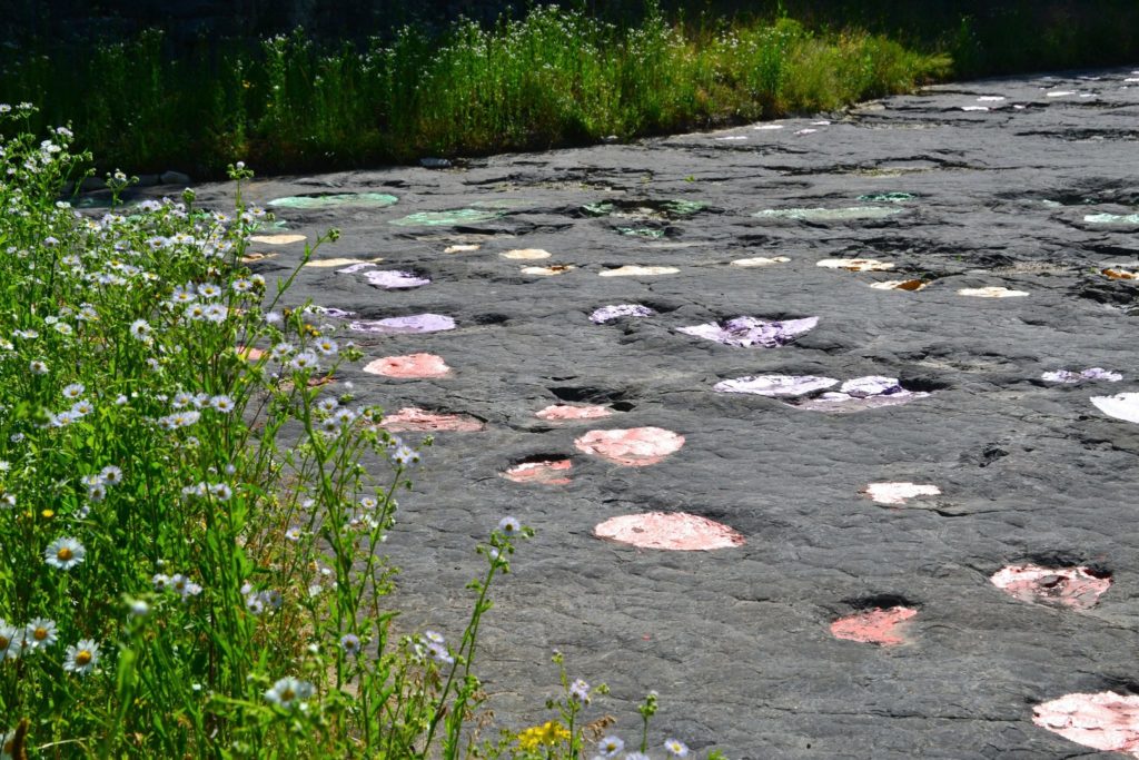 Traces de dinosaures à Loulle