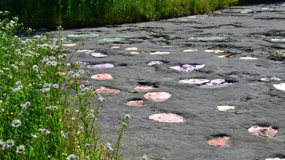 Traces de dinosaure à Loulle - © Jura Tourisme 
