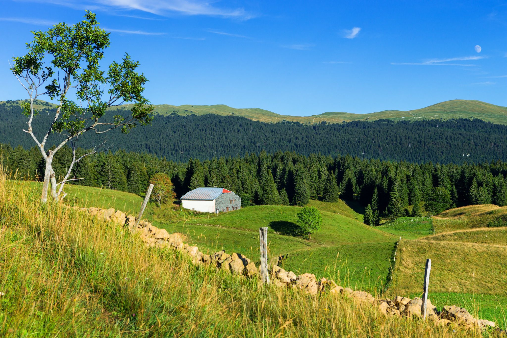 Photo Du Haut Jura Stations De Ski Et Montagne Jura Tourisme