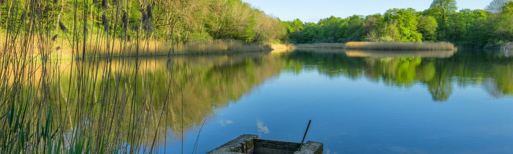 Etang de la Bresse © Stéphane Godin/Jura Tourisme