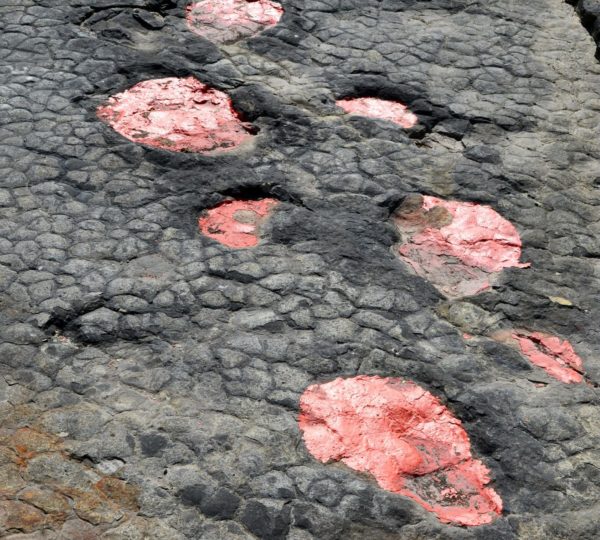 Traces de dinosaures de Loulle, © Jura Tourisme