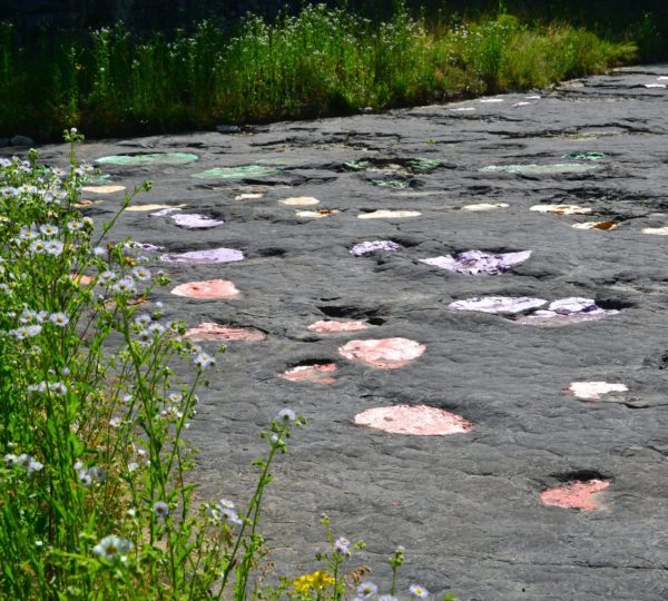 Traces de dinosaures de Loulle © Jura Tourisme