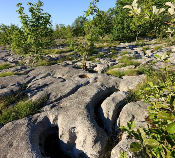 Lapiaz de Loulle, © Stéphane Godin/Jura Tourisme