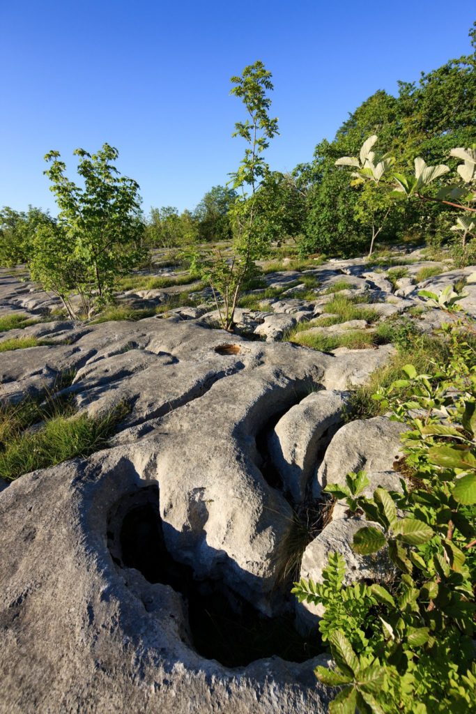 Lapiaz de Loulle, © Stéphane Godin/Jura Tourisme