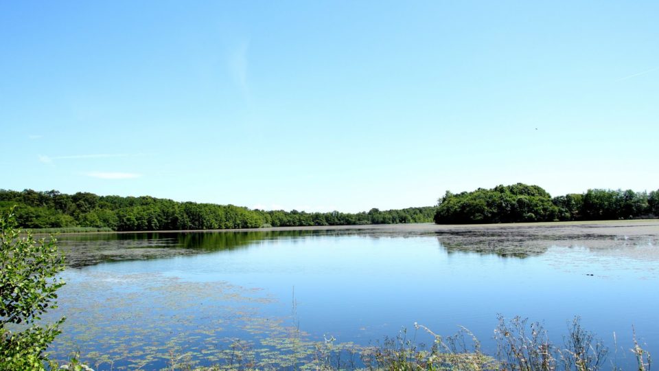 Sentier balisé autour de l'étang Vaillant - Bresse © Aline Dalloz/Jura Tourisme