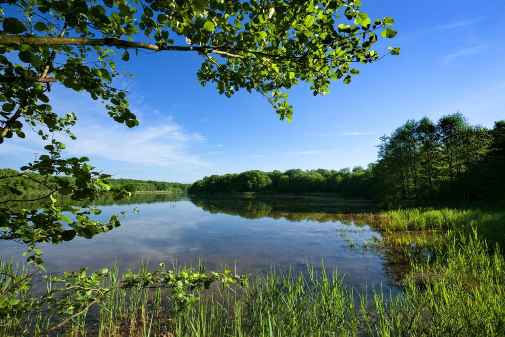 Etang de la Bresse jurassienne, © Stéphane Godin/Jura Tourisme