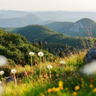Espace trail Champagnole Nozeroy Jura - Jura Tourisme