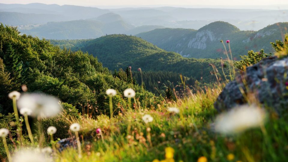 Vue depuis le belvédère du Bulay à Foncine-le-Haut, © Stéphane Godin/Jura Tourisme