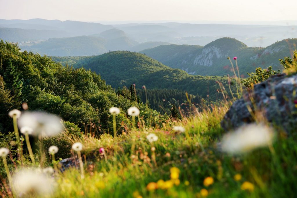Belvédère du Bulay © Stéphane Godin/Jura Tourisme