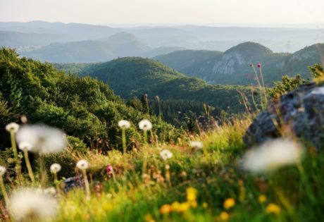 Belvédère du Bulay