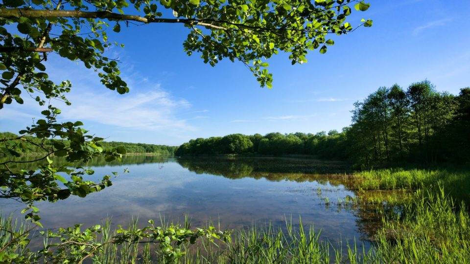 Étang de la Bresse jurassienne © Stéphane Godin/Jura Tourisme