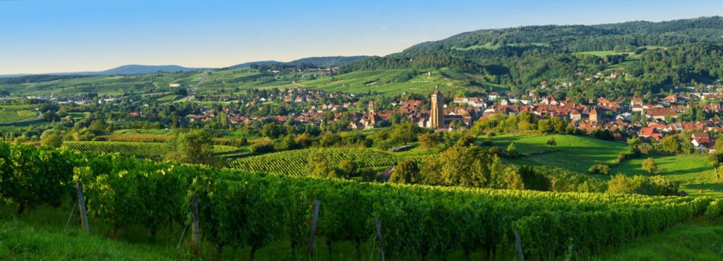 Ville et vignes d’Arbois © Stéphane Godin/Jura Tourisme