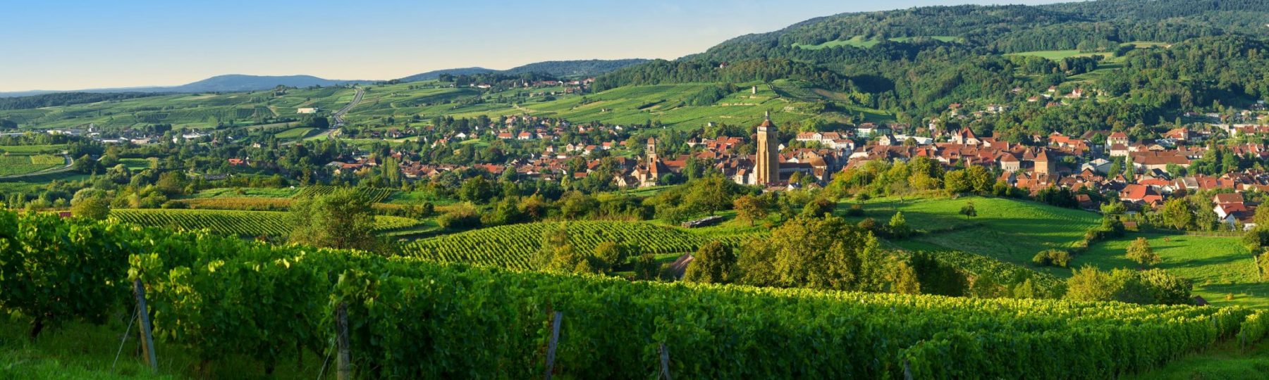 Ville et vignes d’Arbois © Stéphane Godin/Jura Tourisme