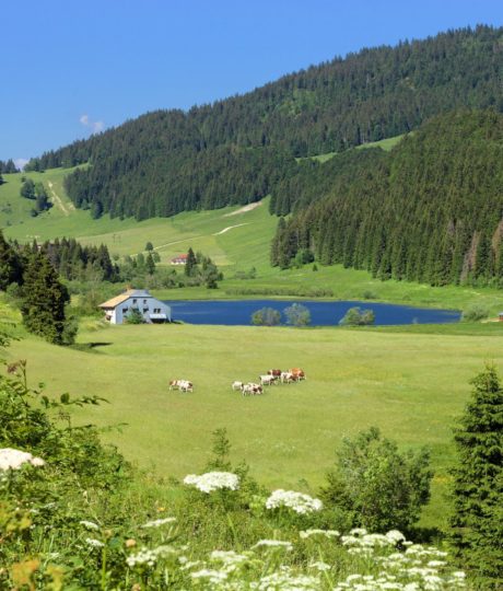 Lac de Lamoura