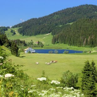 Lac de Lamoura - Station des Rousses