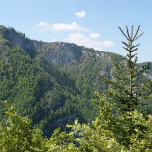 Trail des 7 Monts