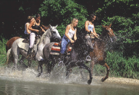 Cavaliers dans une rivière