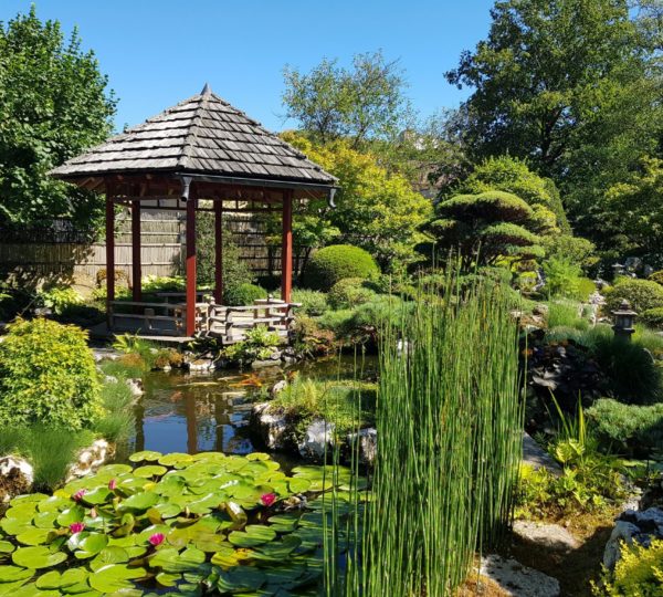 Atelier jardin à Cressia