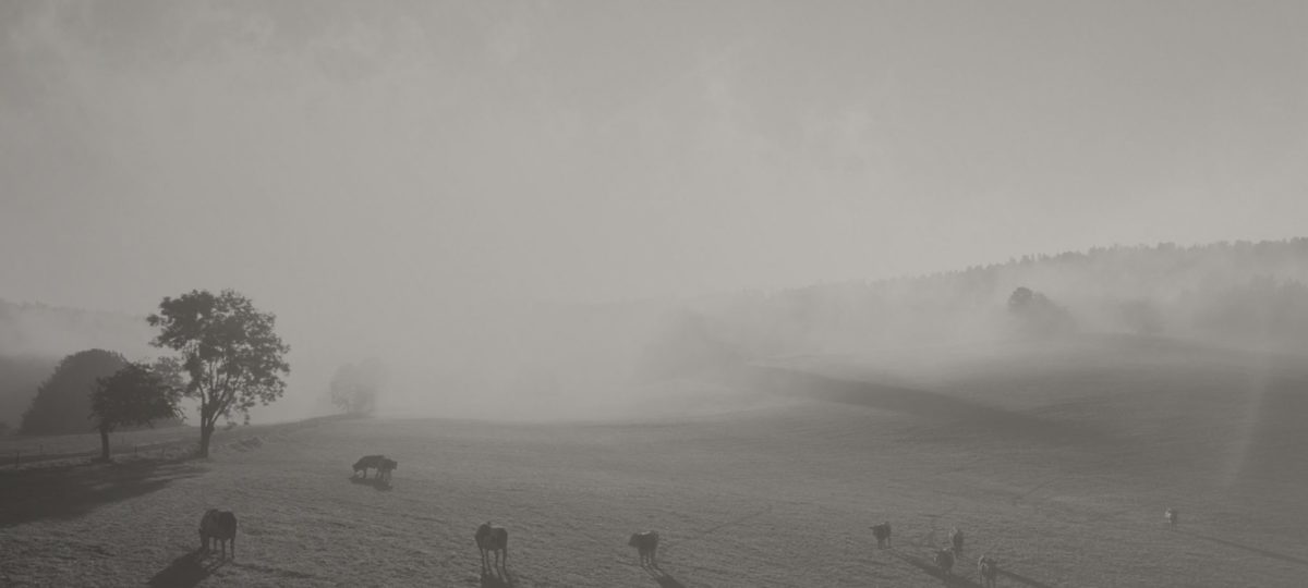 Week-end dans le vignoble sur les traces de Louis Pasteur !