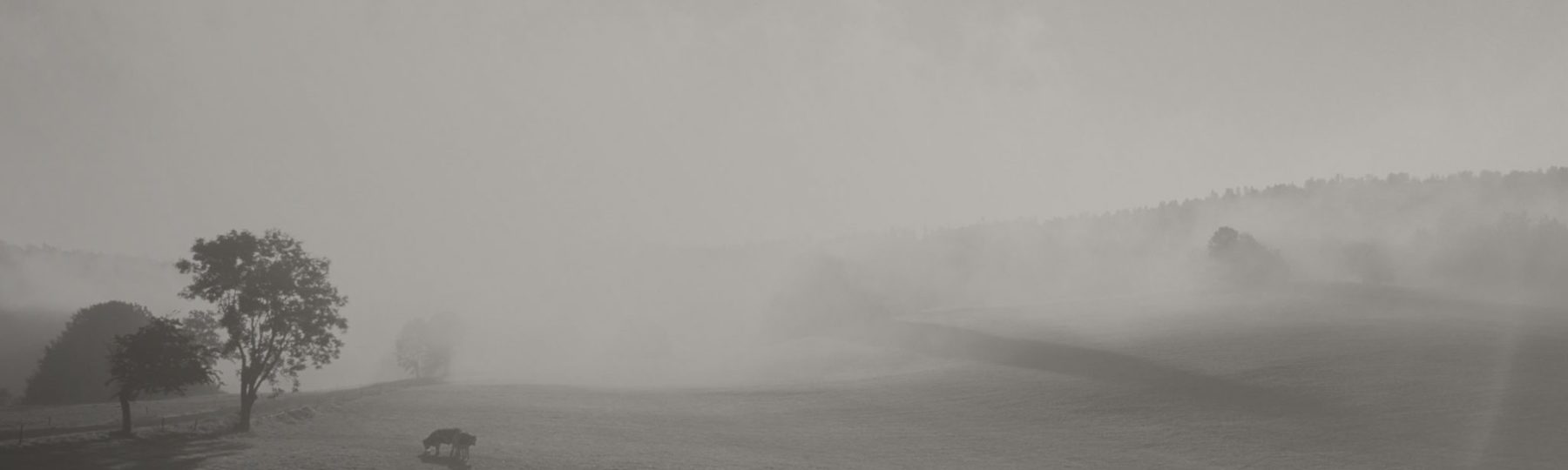 Recettes de chef : un repas 100% Jura avec Elie Sclafer