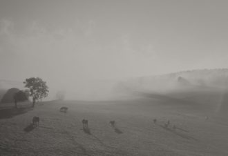 Marché de Noël de Chapelle-Voland