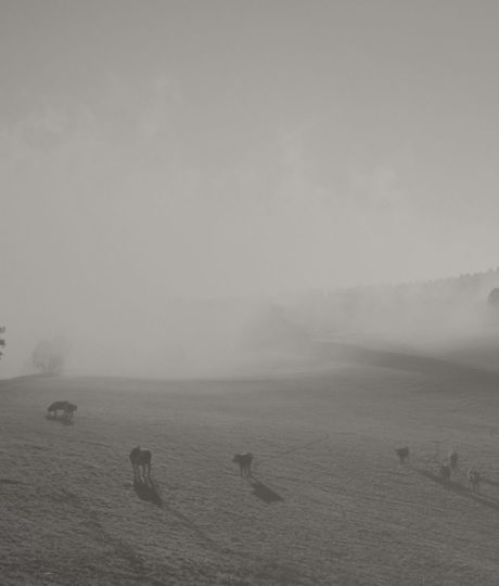 Le Bistrot de Port Lesney – Le « Pontarlier »