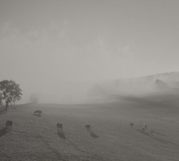 Découvrez le Val d’Amour en roulotte