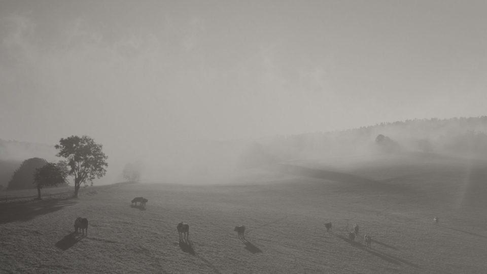Week-end dans le vignoble sur les traces de Louis Pasteur !