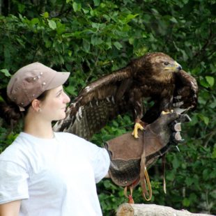 Parc de rapaces JuraFaune