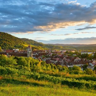 Poligny, Capitale du Comté