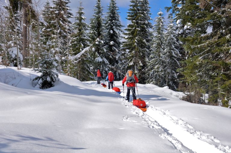 Groupe en ski de fond dans le massif du Mont Noir