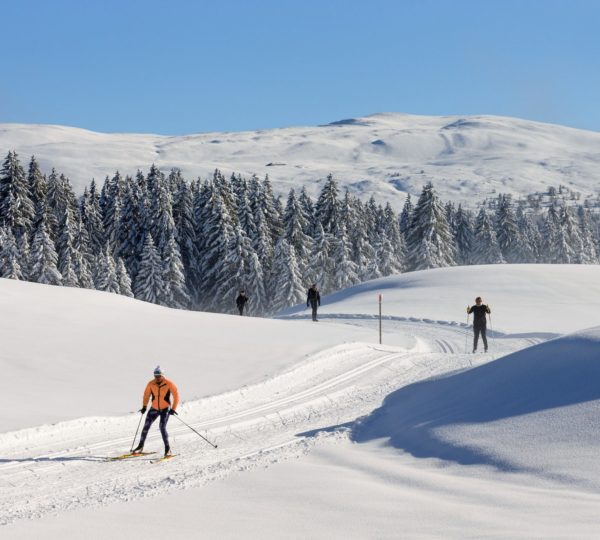 Ski nordique et vue sur les Monts Jura © Stéphane Godin/Jura Tourisme