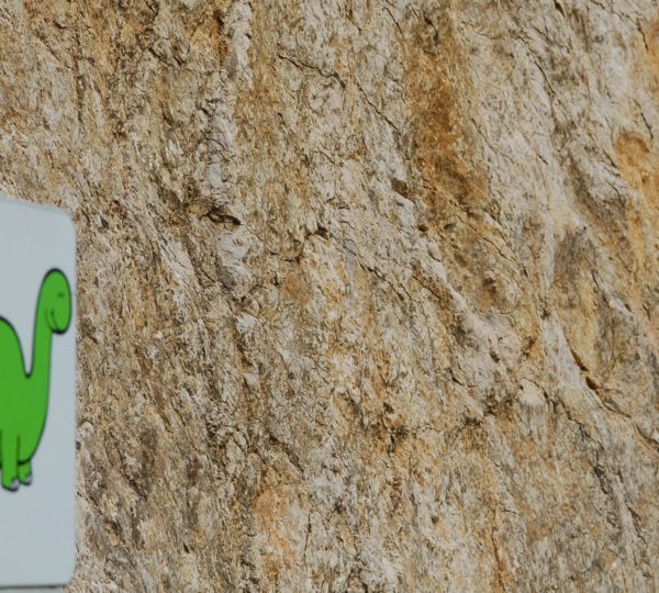 Trace de Dinosaure à Coisia