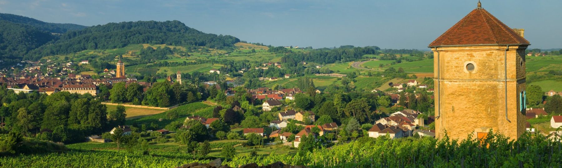 Tour Curon, vignes et ville d’Arbois © Stéphane Godin/Jura Tourisme