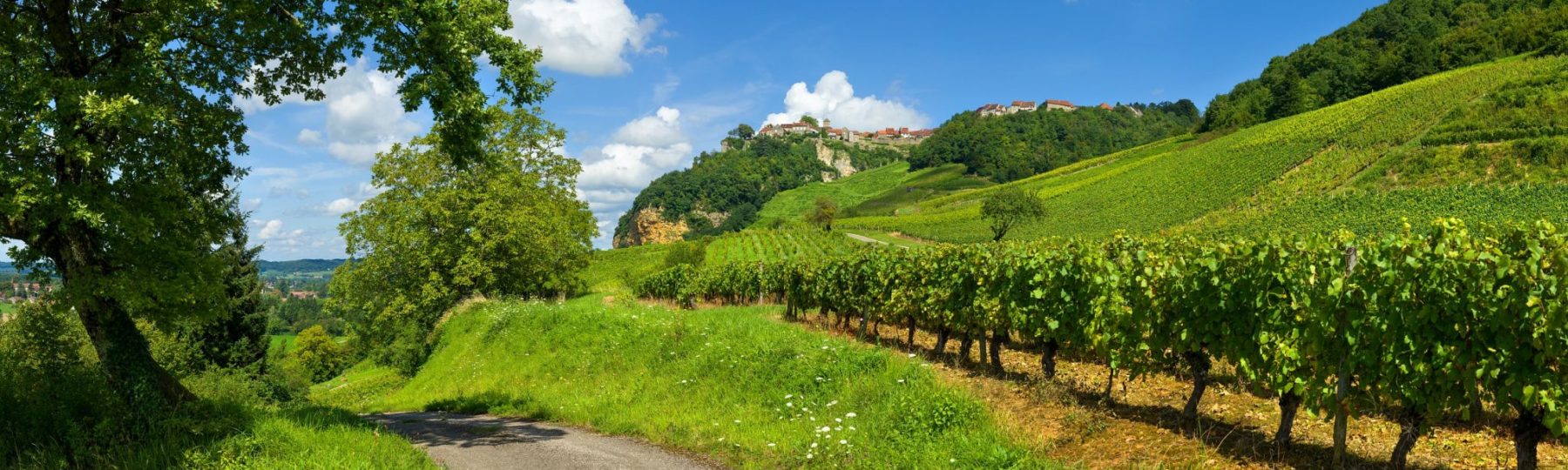 Vignoble de Château-Chalon © Stéphane Godin/Jura Tourisme