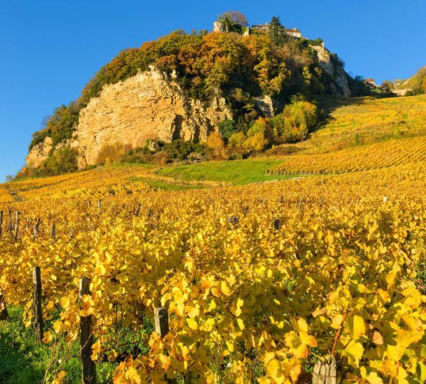 Vignes de Château-Chalon en automne © Stéphane Godin/Jura Tourisme