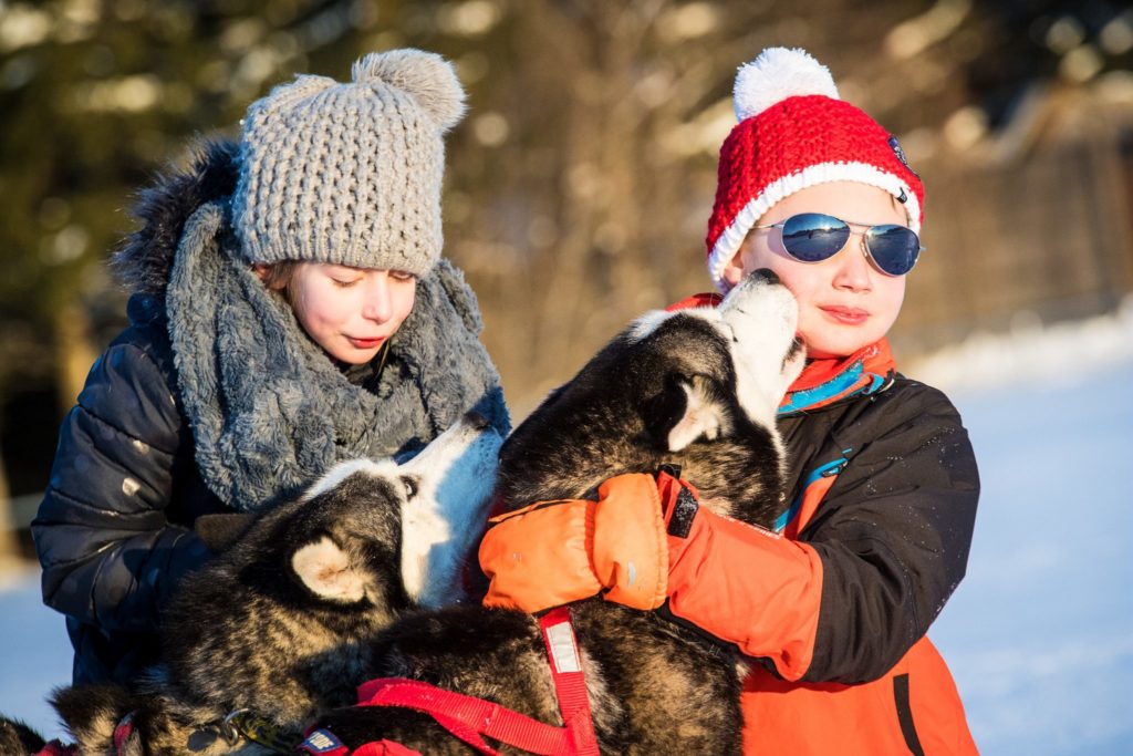 Enfants avec des chiens de traineaux
