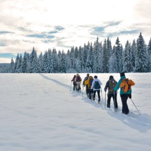 Groupe en raquette sur la Grande Traversée du Jura