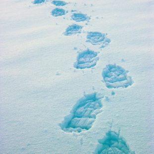 Traces de raquettes dans la neige
