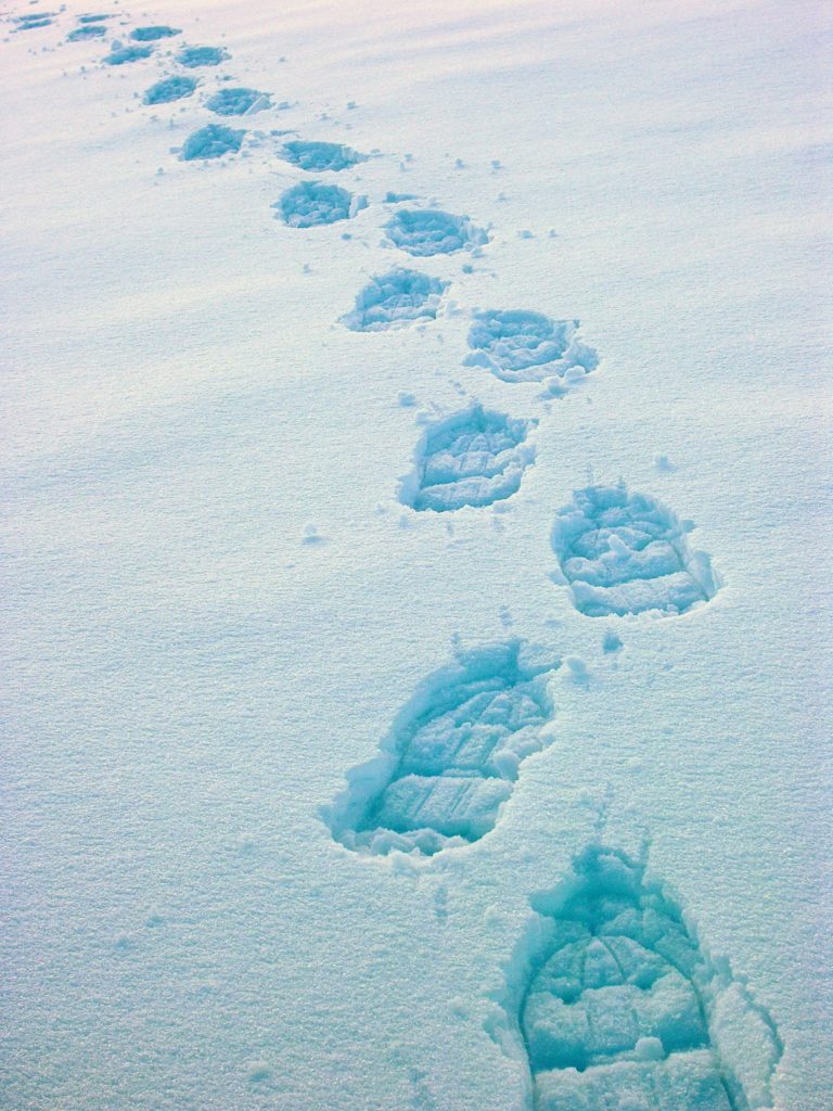 Traces de raquettes dans la neige © Jack Carrot/Jura Tourisme