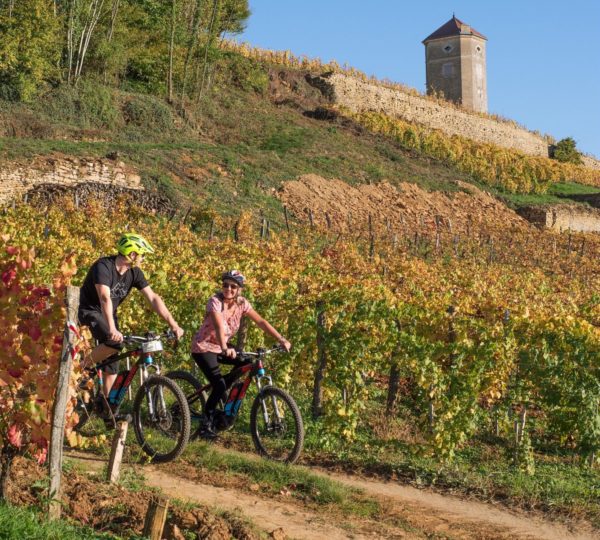 VTT électrique dans les vignes d’Arbois