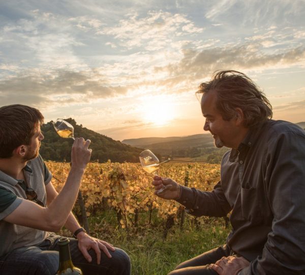 Dégustation de Vin Jaune dans les vignes © Nicolas Gascard/Jura Tourisme
