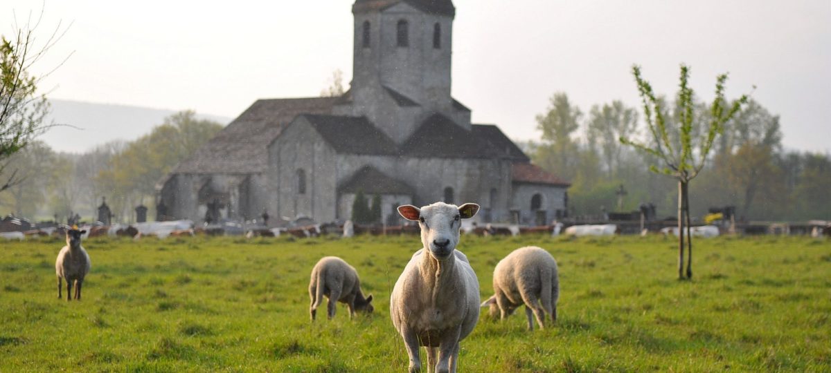 Église romane de Saint-Hymetière