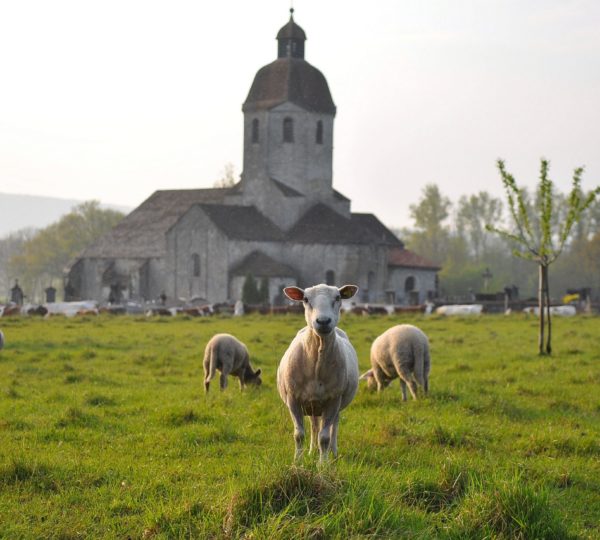 Église romane de Saint-Hymetière