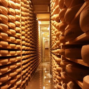 Cave du Fort des Rousses JuraFlore