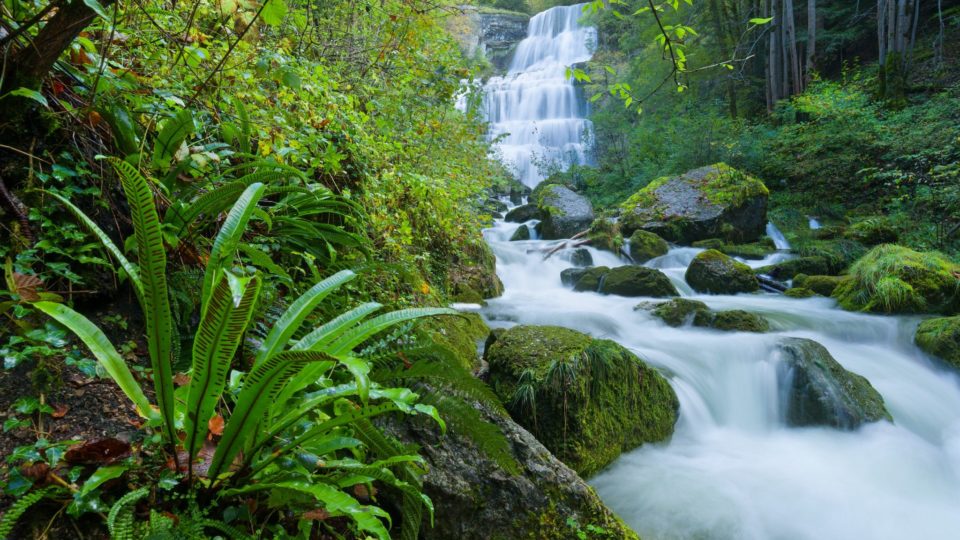 L'Éventail aux cascades du Hérisson © Stéphane Godin/Jura Tourisme