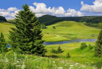 Au coeur du Parc naturel regional du Haut-Jura
