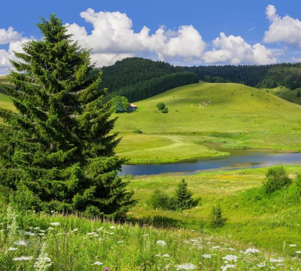 le jura touristique