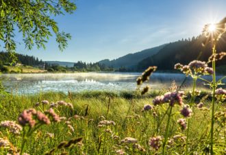 Au coeur du Parc naturel regional du Haut-Jura